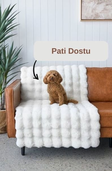 Ekstra Yumuşak Dokulu Beyaz Bubble Tavşan Tüyü Darcio Dikdörtgen Post Peluş Halı