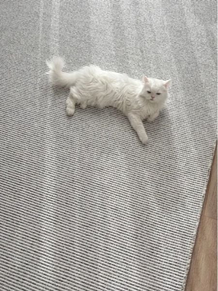 Türkmen Jaipur Jp01 Gri Makinede Yıkanabilir Leke Tutmaz Kaymaz Kolay Temizlenen Modern Halı