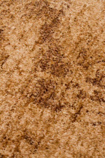 Eko Halı Shiraz SHR 01 Beige Vintage Eskitme Klasik Desenli Yumuşak Dokuma Salon Oturma Odası Halısı